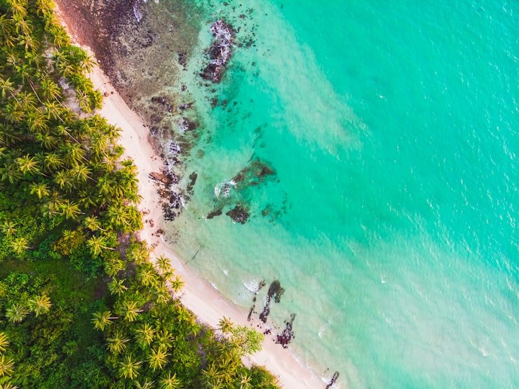 aerial-view-beautiful-beach-sea-with-coconut-palm-tree_74190-1022
