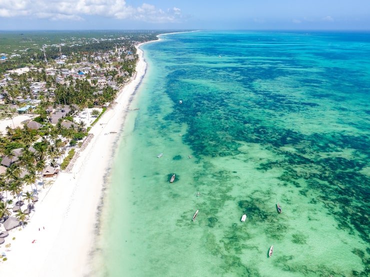 aerial-view-blissful-zanzibar-region-tanzania-east-africa_181624-46842