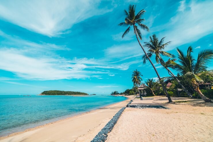 beautiful-tropical-beach-sea-sand-with-coconut-palm-tree-blue-sky-white-cloud_74190-7479