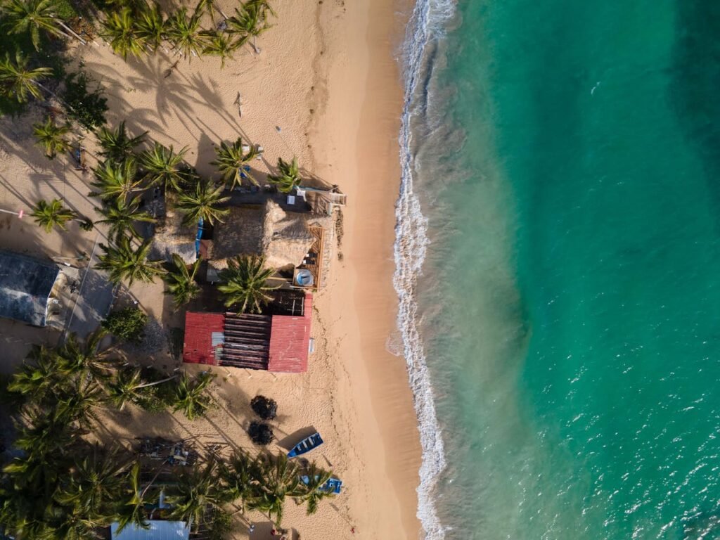 pexels-davidrado-8227280 (1)